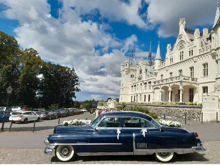 Gebraucht Cadillac Fleetwood 205 PS (150 kW) 1953 Blau Limousine