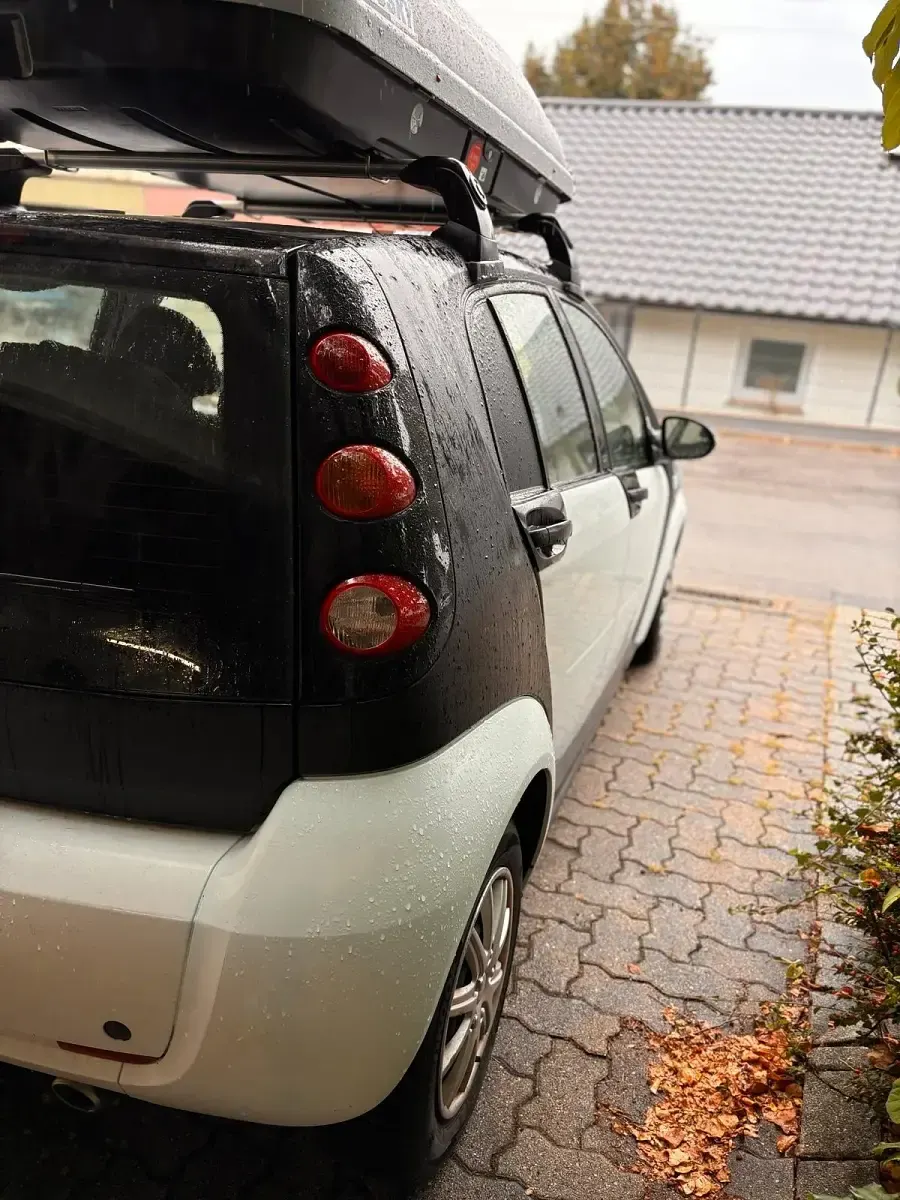 Usata Smart ForFour 75 CV (55 kW) 2009 Bianco Utilitaria