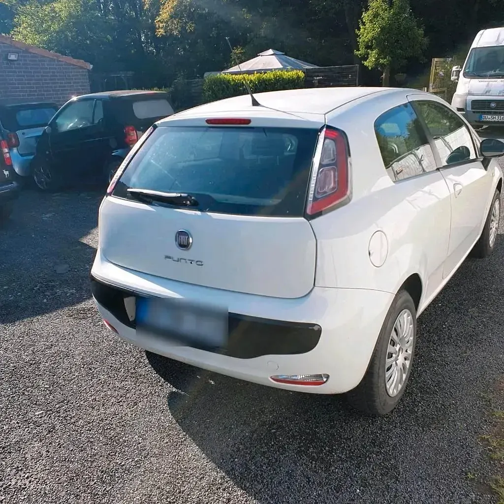 Brugt Fiat Punto 2011 Hvid Hatchback