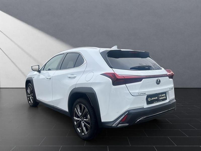 Gebraucht Lexus UX 250h F Sport 184 PS (135 kW) 2024 Weiß SUV