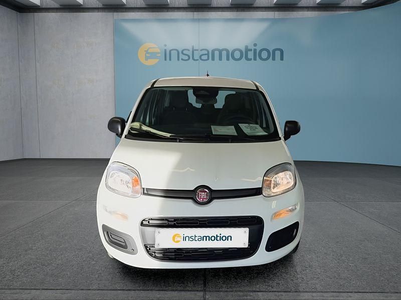 Neu Fiat Panda 65 PS (47 kW) 2025 Weiß Kleinwagen