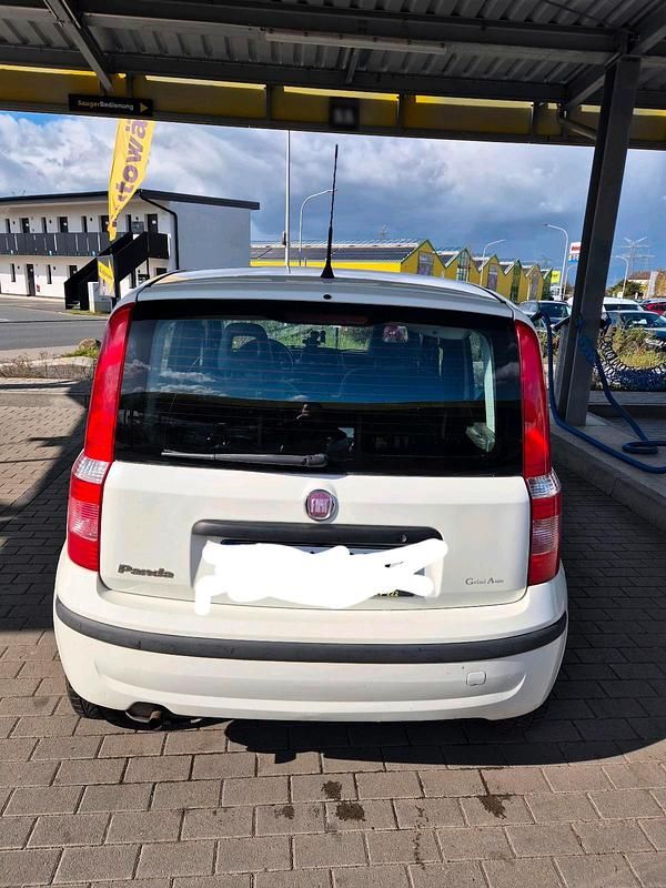 Gebraucht Fiat Panda 54 PS (39 kW) 2008 Weiß Kleinwagen