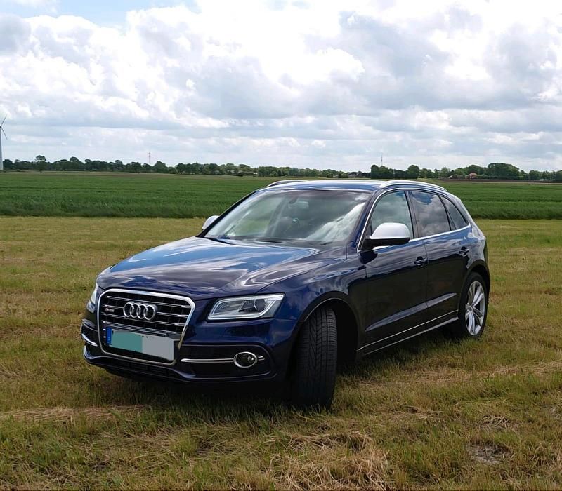 Blau Gebraucht 2014 Audi SQ5 SUV | 21.500 € (Teuer) - Bild 1/4