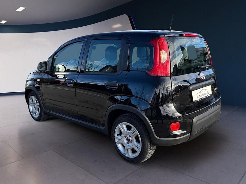 Gebraucht Fiat Panda 69 PS (50 kW) 2024 Schwarz Kleinwagen