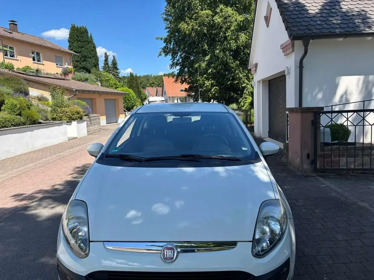 Gebraucht Fiat Punto Dynamic 77 PS (56 kW) 2011 Colore esterno (bianco divino) Kleinwagen