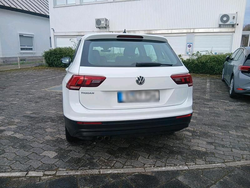 Gebraucht VW Tiguan 116 PS (85 kW) 2019 Weiß SUV
