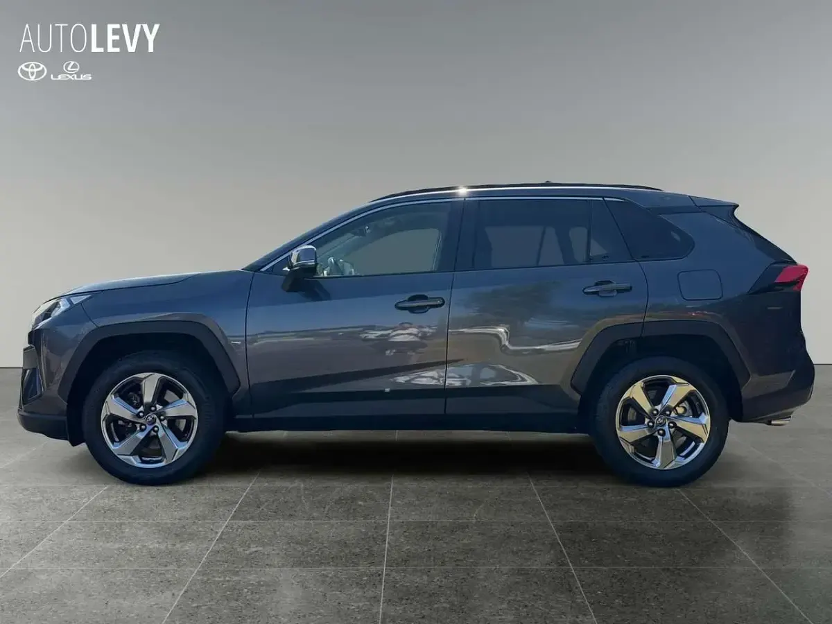 Gebraucht Toyota RAV4 Club 175 PS (128 kW) 2019 Grau SUV