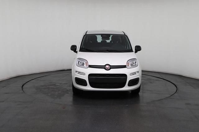 Neu Fiat Panda 69 PS (50 kW) 2025 Weiß, weiß uni Kleinwagen