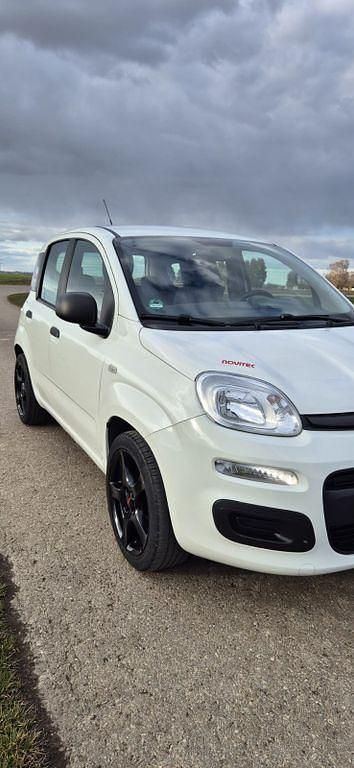 Gebraucht Fiat Panda Easy 69 PS (50 kW) 2014 Weiß Kleinwagen
