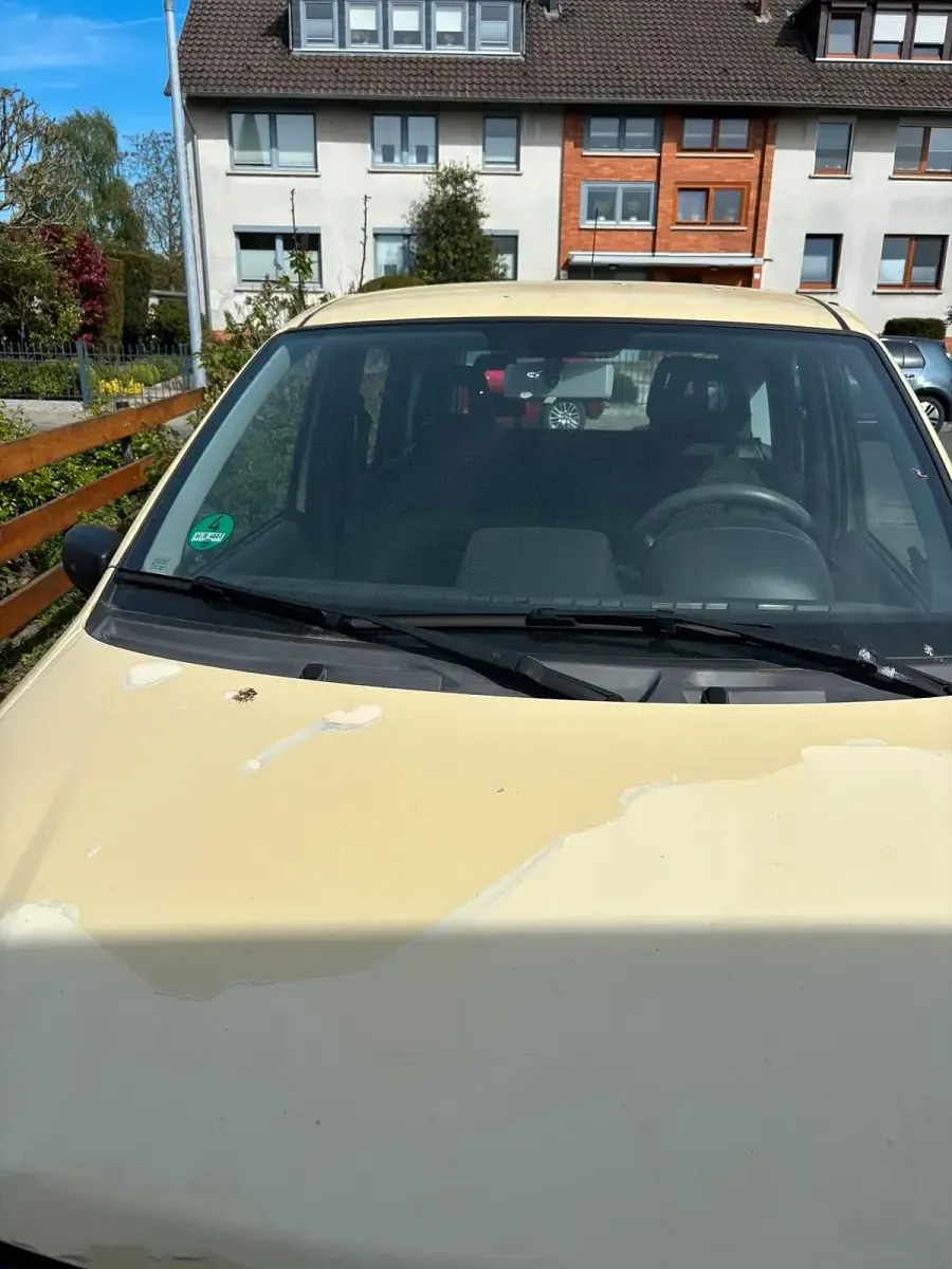 Usata Fiat Panda 2009 Utilitaria