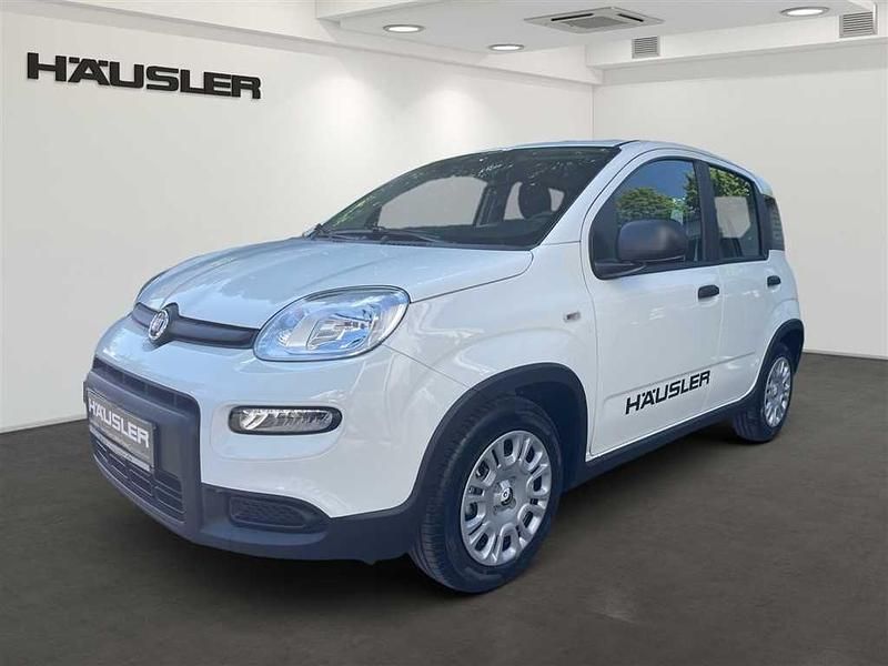 Gelato weiß Gebraucht 2024 Fiat Panda Kleinwagen | 13.990 € (Fairer Preis) - Bild 1/4