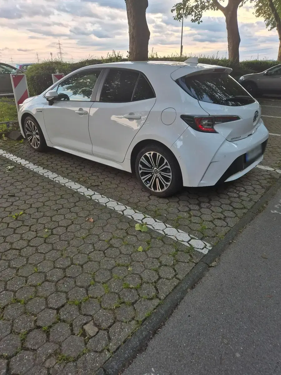 Gebraucht Toyota Corolla 122 PS (89 kW) 2019 Weiß Kombi