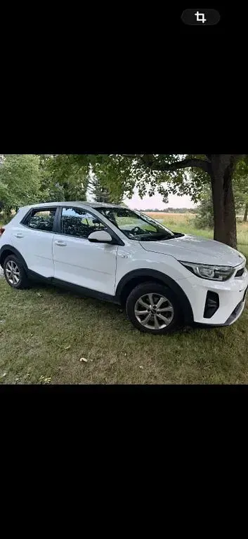 Gebraucht Kia Stonic Spirit 101 PS (74 kW) 2018 Weiß SUV