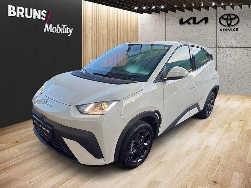 Neu BYD Dolphin Surf Boost 64 kW (88 PS) 2026 Acricity white Kleinwagen