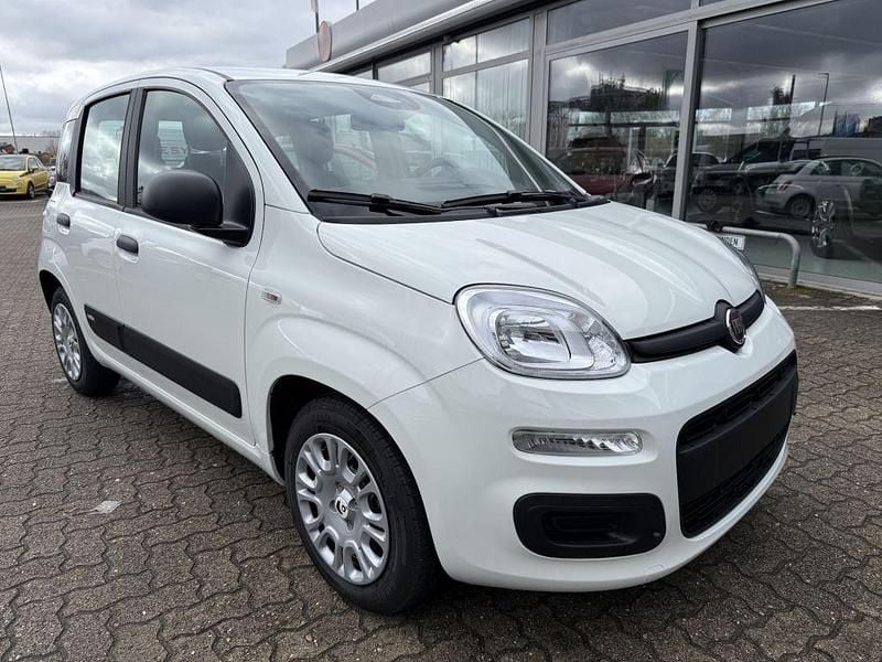 Neu Fiat Panda 69 PS (50 kW) 2025 Gelato weiss Kleinwagen