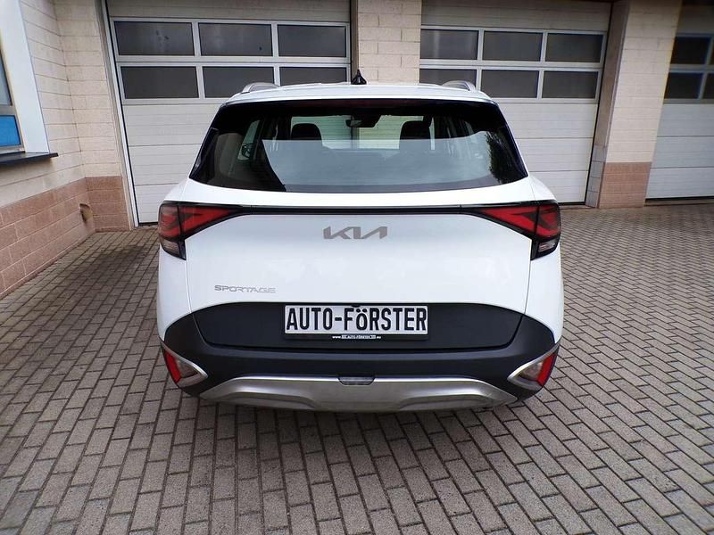 Gebraucht Kia Sportage Edition 7 150 PS (110 kW) 2024 Carraraweiß SUV