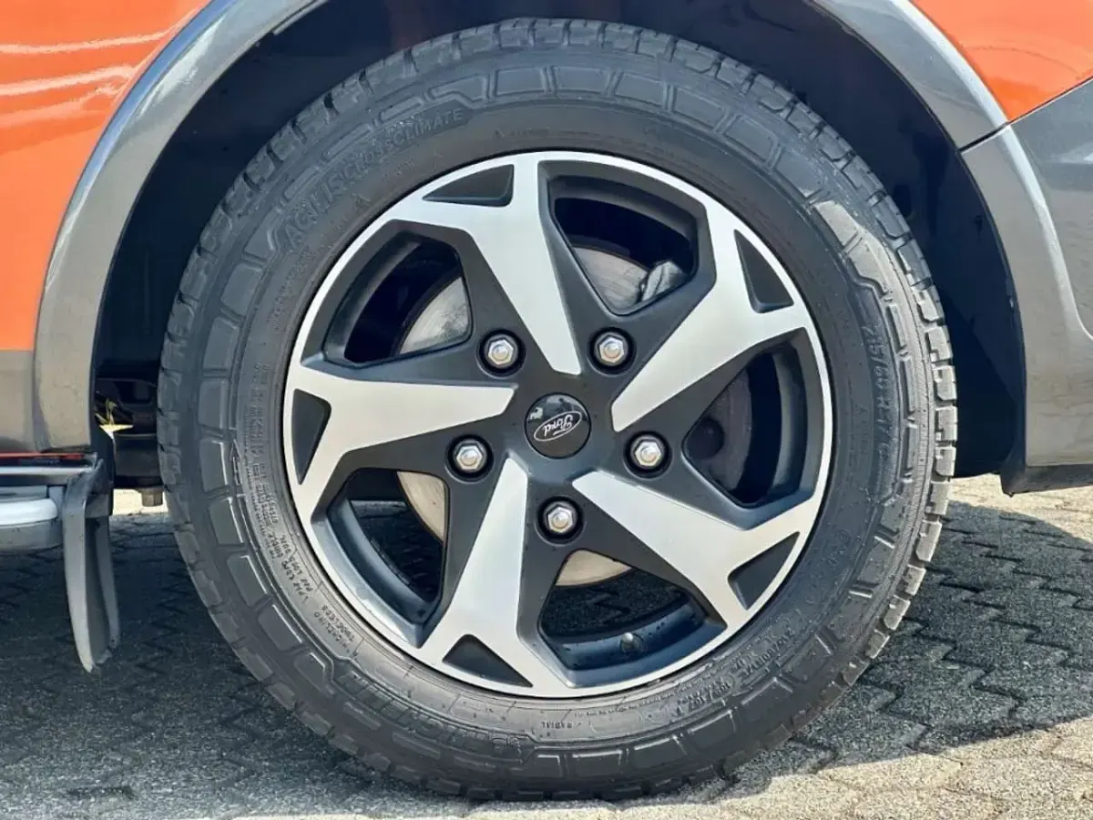 Gebraucht Ford Tourneo Custom Active 150 PS (110 kW) 2022 Hokkaidoorange Van