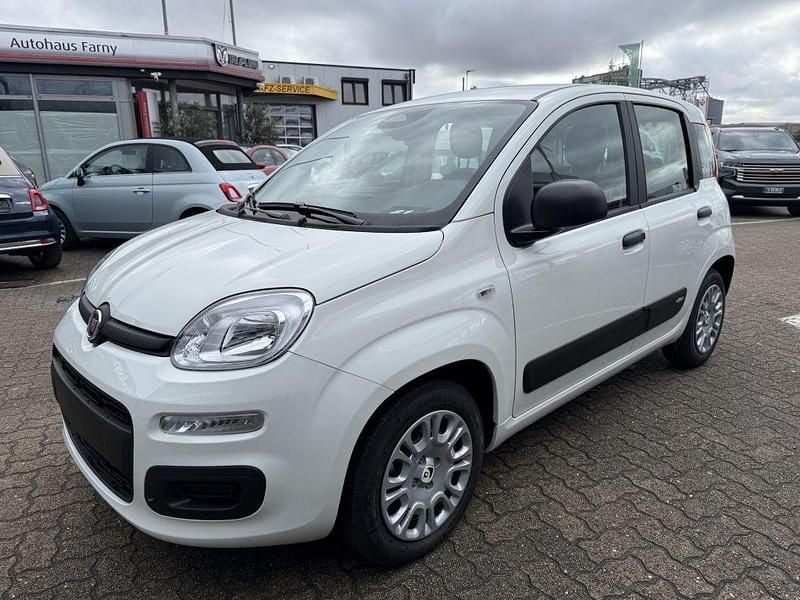 Neu Fiat Panda 69 PS (50 kW) 2025 Gelato weiss Kleinwagen