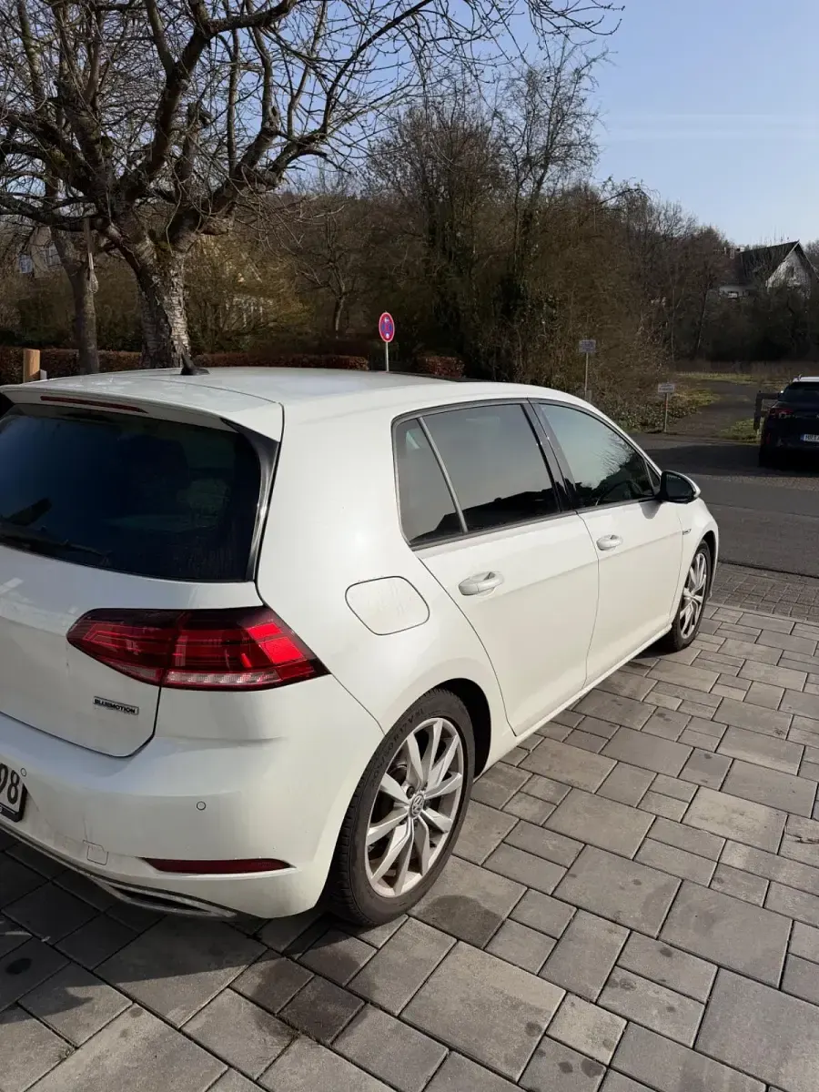 Gebraucht VW Golf VII 130 PS (95 kW) 2019 Weiß Limousine