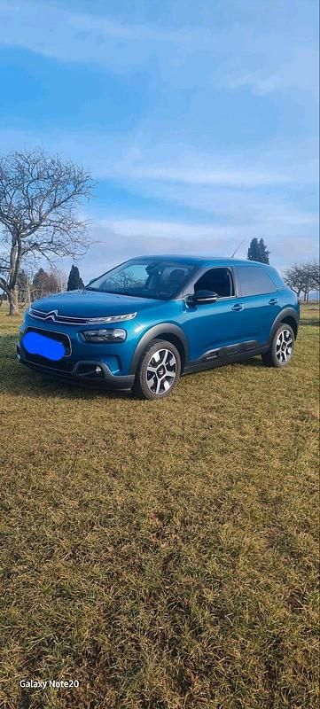 Gebraucht Citroën C4 Cactus Shine 110 PS (80 kW) 2019 Blau Kleinwagen