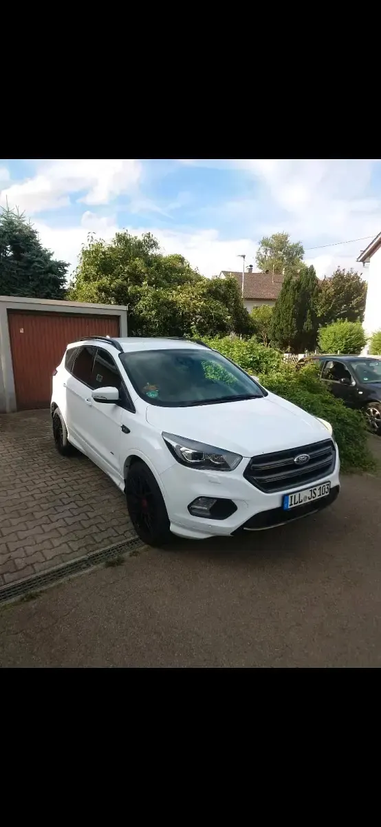 Usata Ford Kuga ST-Line 270 CV (198 kW) 2018 Bianco SUV