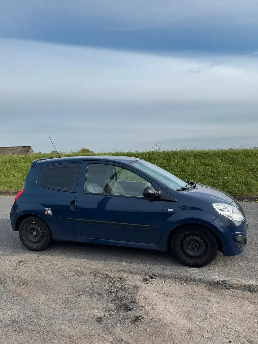 Używany Renault Twingo 58 KM (42 kW) 2008 Niebieski Hatchback