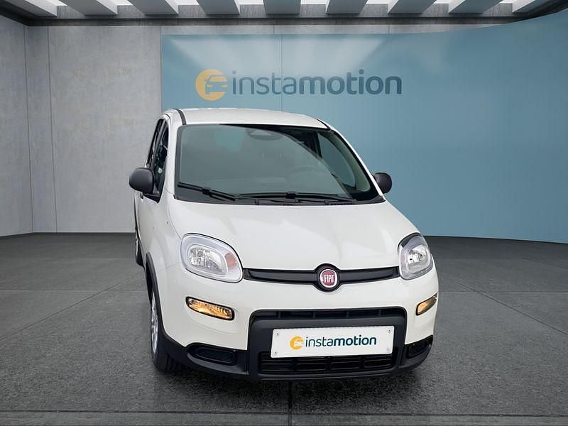 Usata Fiat Panda 69 CV (50 kW) 2024 Bianco Utilitaria