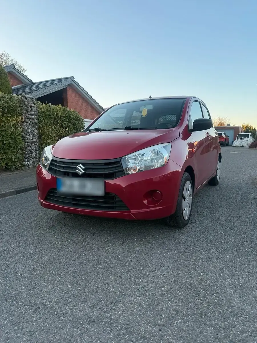 Usata Suzuki Celerio 69 CV (50 kW) 2016 Rosso Utilitaria