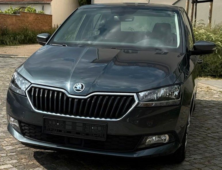 Grau Gebraucht 2019 Skoda Fabia Ambition Kombi | 13.999 € (Guter Preis) - Bild 1/4