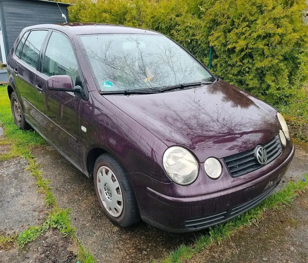 Brugt VW Polo 75 HK (55 kW) 2003 Lilla Hatchback