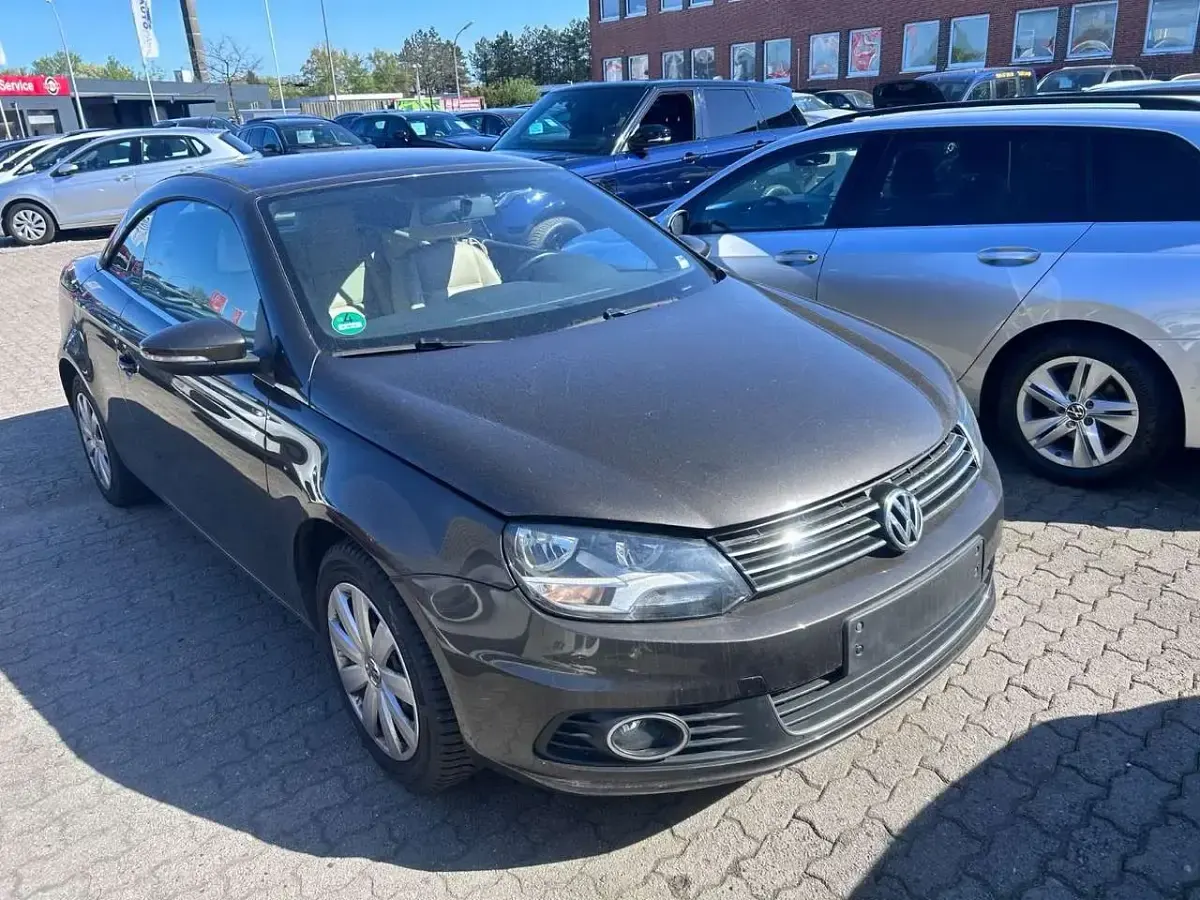 Occasion VW Eos Basis 122 ch (89 kW) 2011 Marron Cabriolet