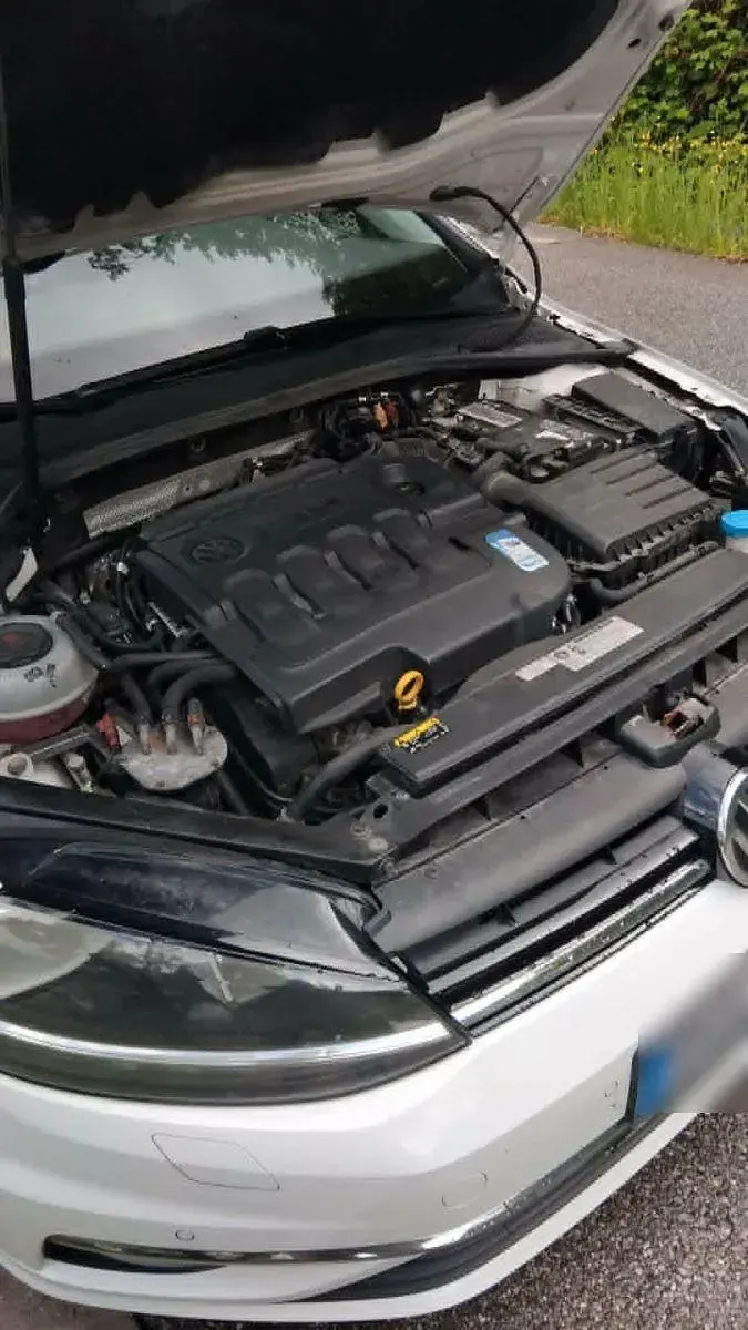 Gebraucht VW Golf VII Join 116 PS (85 kW) 2019 Weiß Kombi