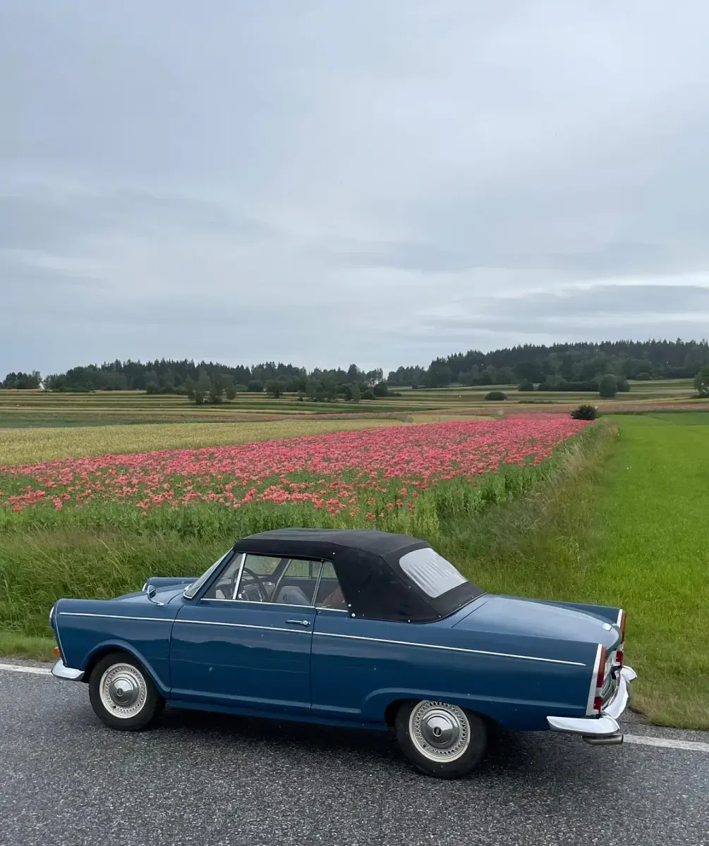 Gebraucht DKW Junior 45 PS (33 kW) 1964 Blau Cabrio