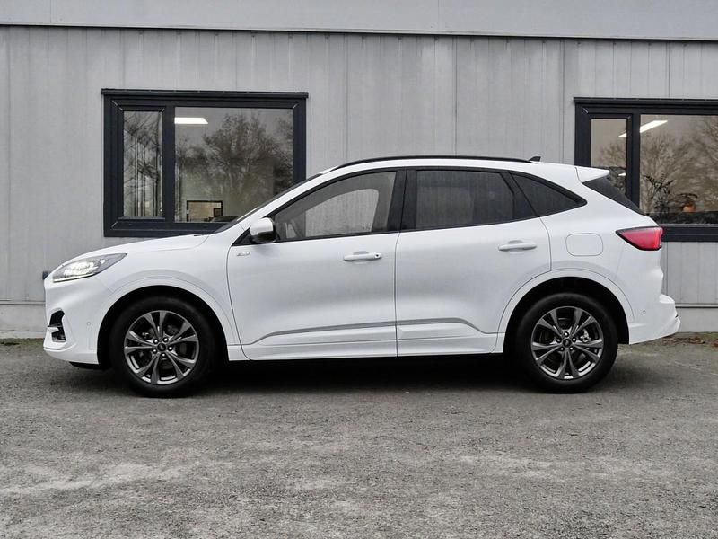 Gebraucht Ford Kuga ST-Line X 150 PS (110 kW) 2023 Weiß SUV