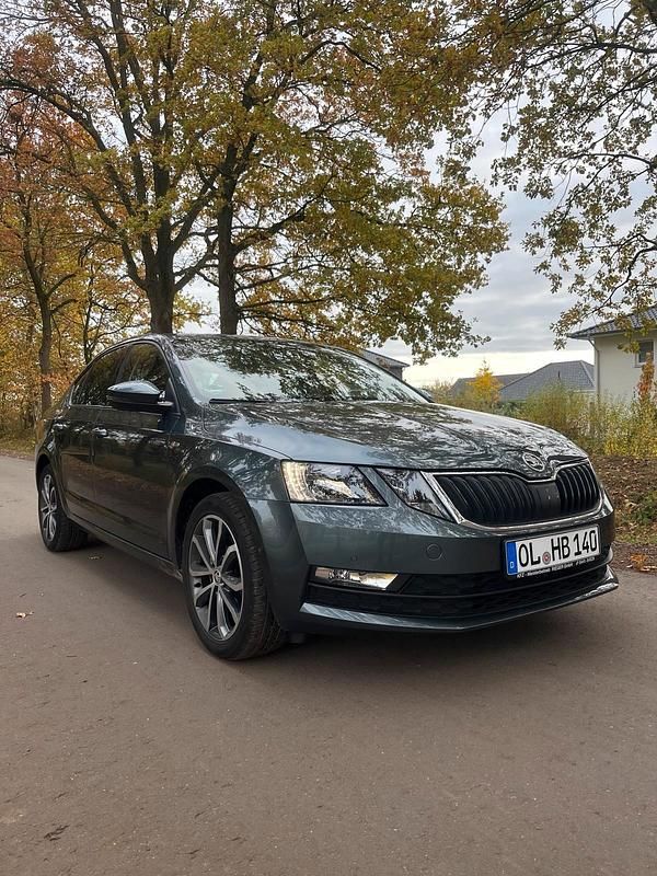 Grau Gebraucht 2016 Skoda Octavia Limousine | 15.950 € - Bild 1/4