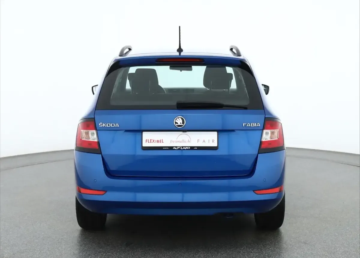 Gebraucht Skoda Fabia Ambition 96 PS (70 kW) 2019 Grau Kleinwagen