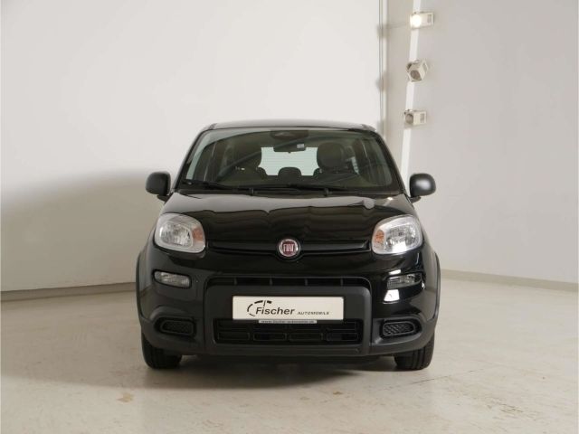 Gebraucht Fiat Panda 69 PS (50 kW) 2024 Schwarz Kleinwagen
