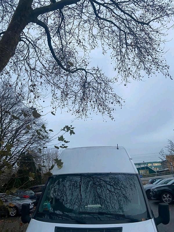 Gebraucht Ford Tourneo 2008 Weiß Van / Kleinbus