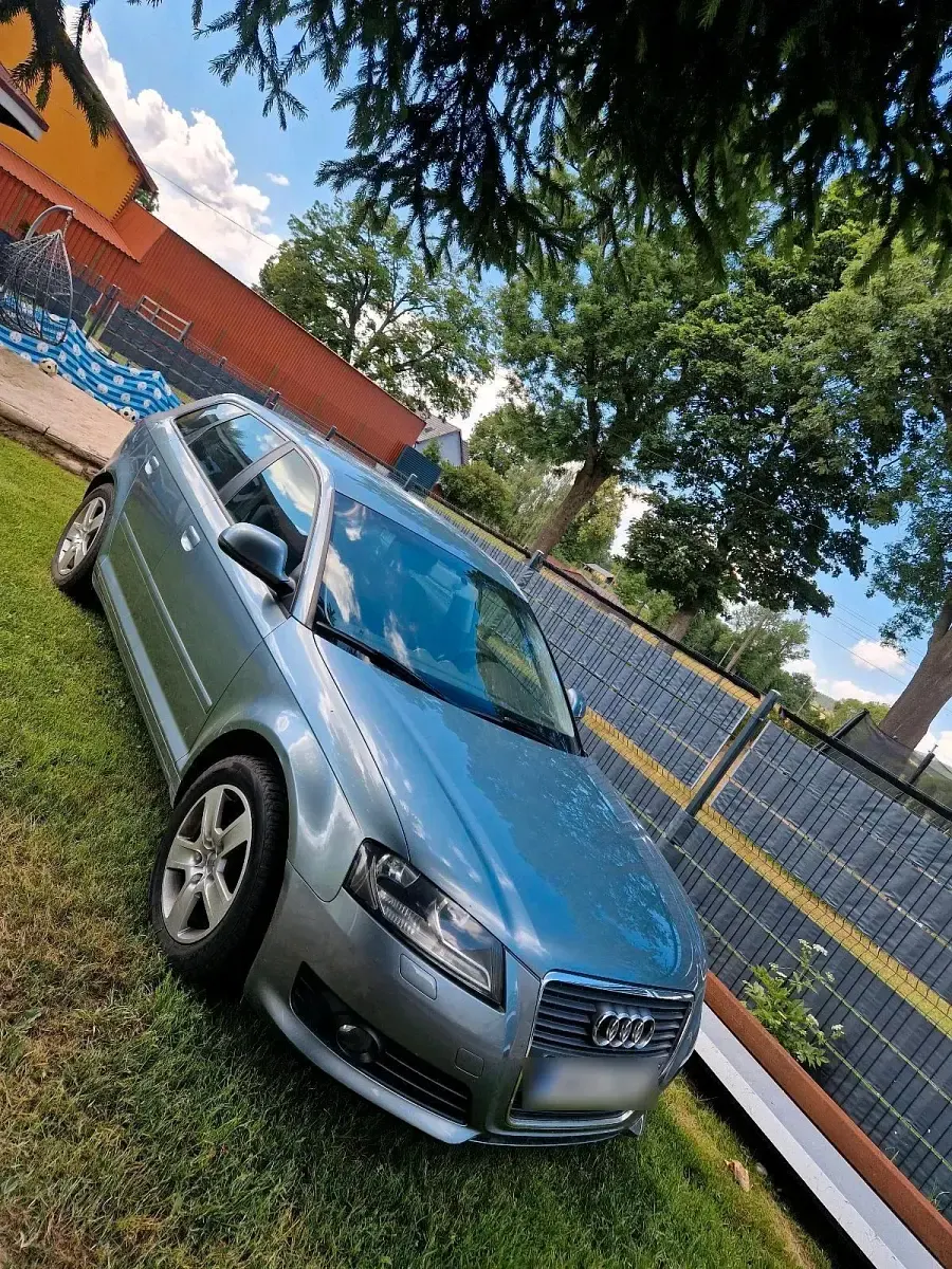Gebraucht Audi A3 Sportback 105 PS (77 kW) 2008 Grün Kleinwagen