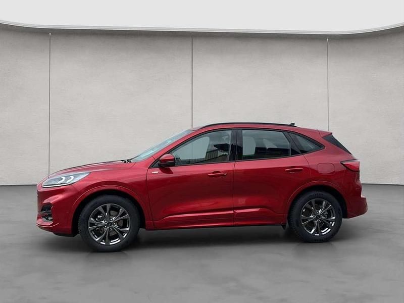 Gebraucht Ford Kuga ST-Line 151 PS (111 kW) 2024 Rot SUV