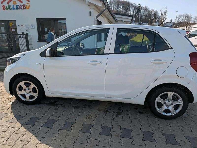 Gebraucht Kia Picanto 84 PS (61 kW) 2019 Weiß Kleinwagen