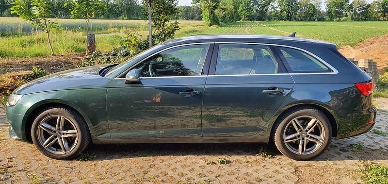 Gebraucht Audi A4 Sport 150 PS (110 kW) 2016 Grün Kombi