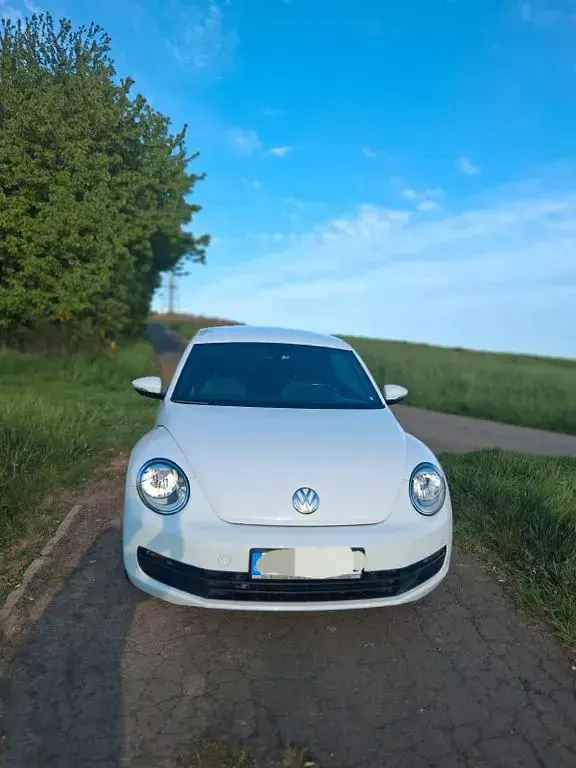 Gebraucht VW Beetle Exclusive 105 PS (77 kW) 2014 Weiß Kleinwagen