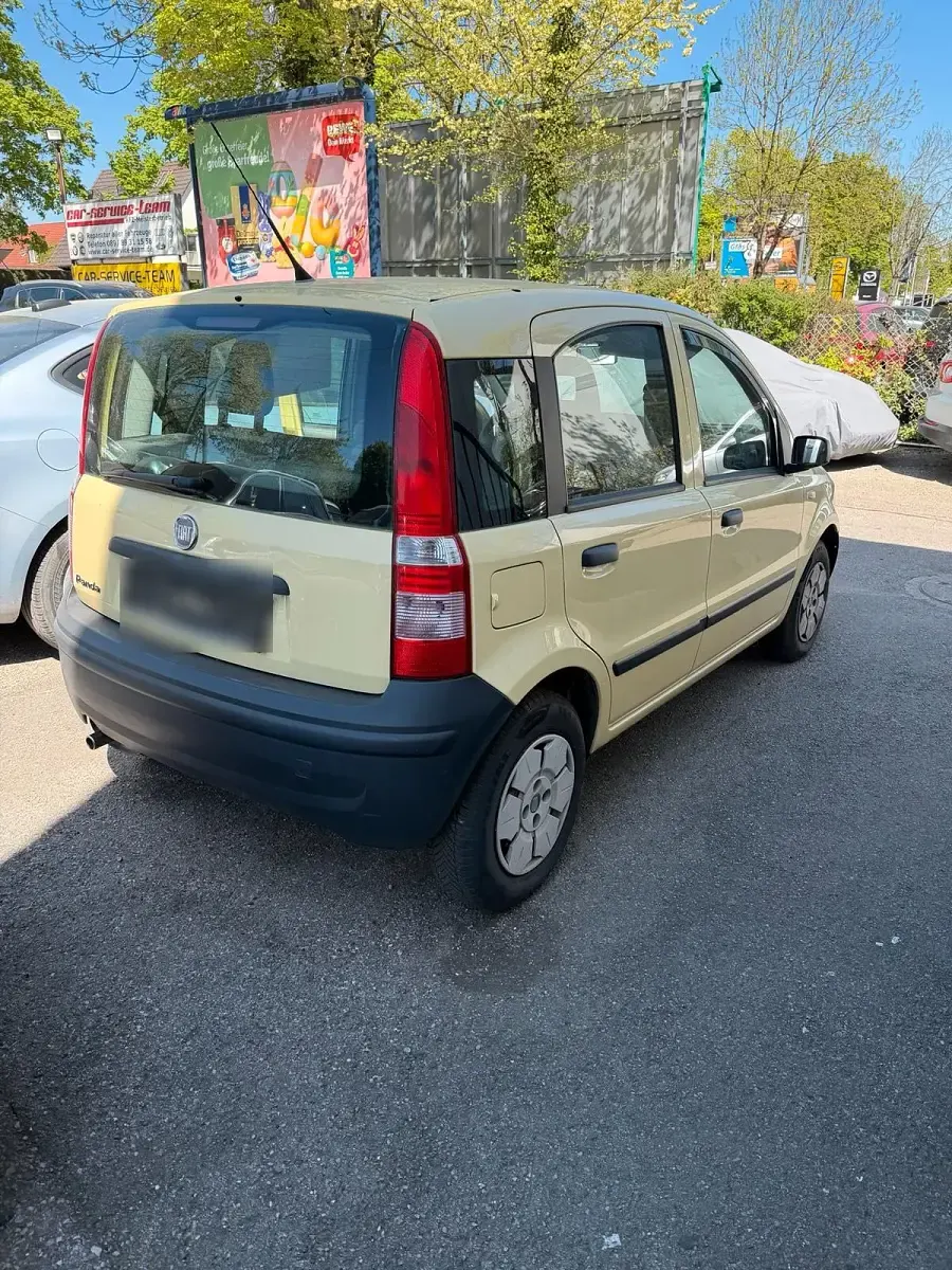 Usata Fiat Panda 2009 Giallo Utilitaria