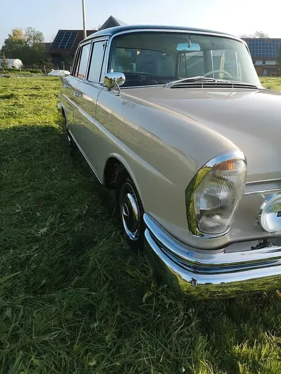 Gebraucht Mercedes 230 163 PS (119 kW) 1967 Beige Limousine