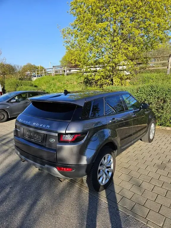 Gebraucht Land Rover Range Rover evoque SE Dynamic 150 PS (110 kW) 2015 Grau SUV