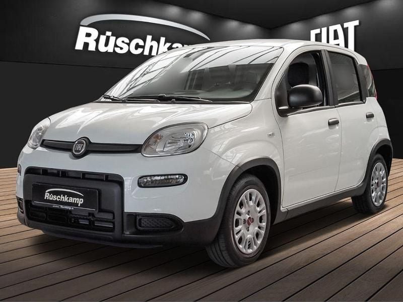 Weiss) (weiss Gebraucht 2023 Fiat Panda Kleinwagen | 12.480 € (Fairer Preis) - Bild 1/4