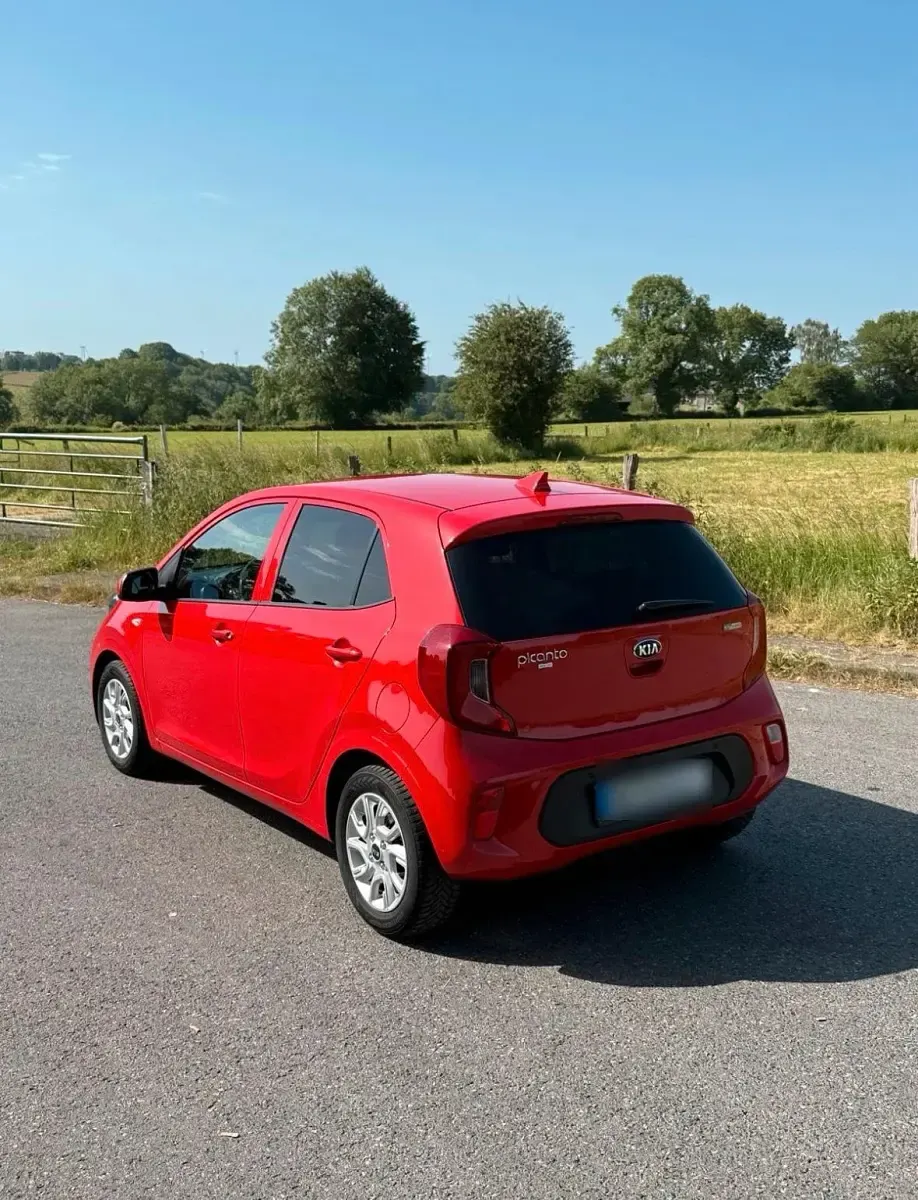 Gebraucht Kia Picanto 67 PS (49 kW) 2020 Rot Kleinwagen