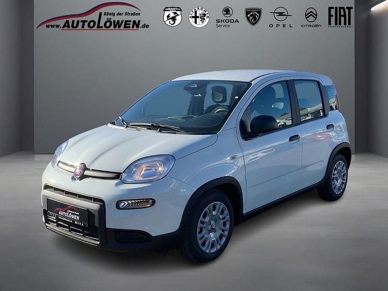 Gelato weiß Neu 2025 Fiat Panda Kleinwagen | 11.980 € (Superpreis) - Bild 1/4