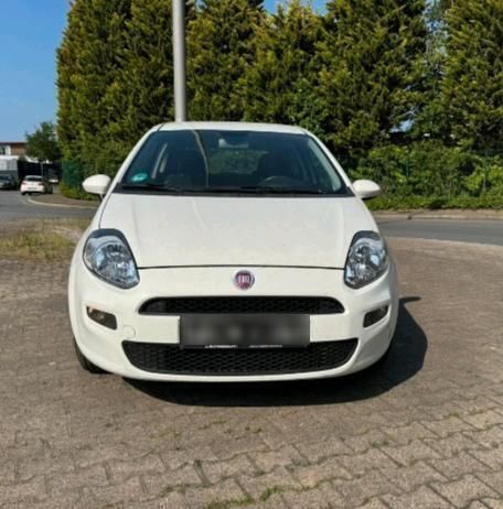 Weiß Gebraucht 2014 Fiat Punto Kleinwagen | 1.200 € (Superpreis) - Bild 1/4